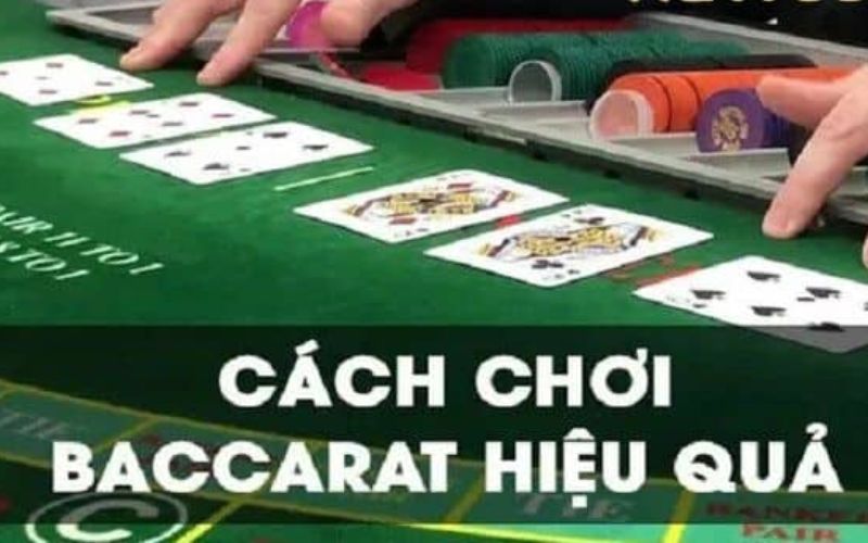 Bí quyết chơi Baccarat